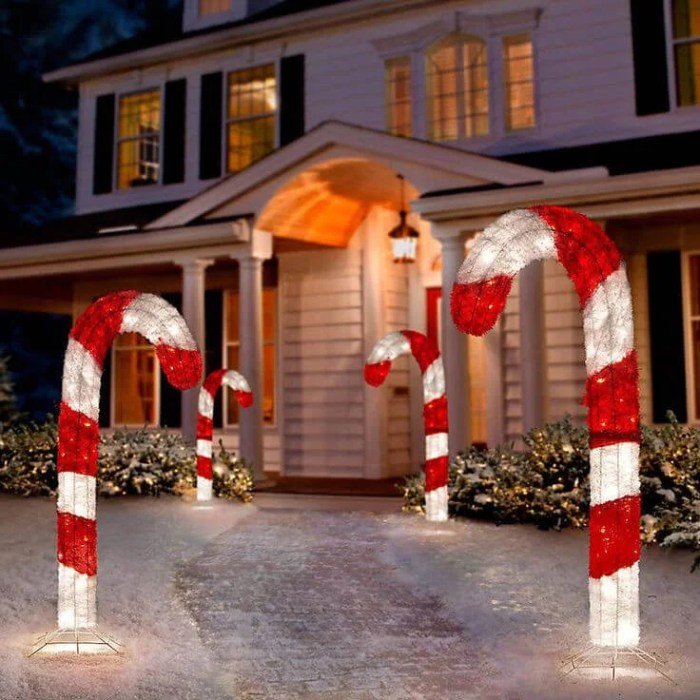 Outdoor yard christmas decor