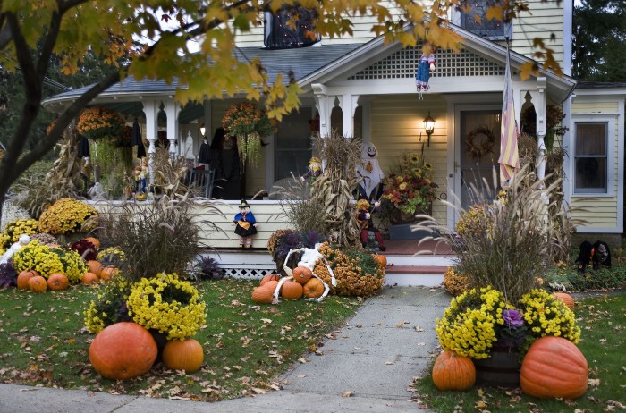 Outdoor halloween decor 2024