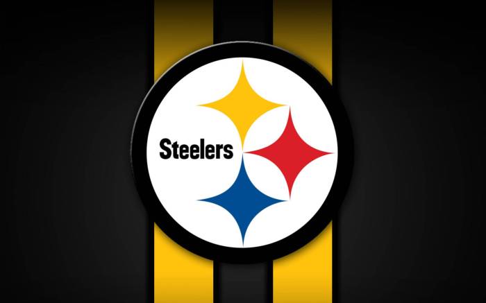 Pittsburgh steelers outdoor decor